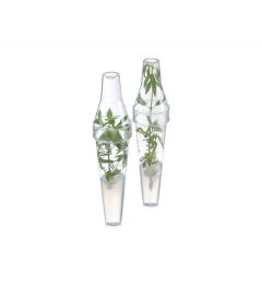 sterile polycarbonate plastic conical tubes for plant tissue culture 