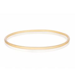 Sealing o Ring Silicone transparent DN60