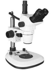 Stereomicroscopes  SQF-E LED - JP Selecta