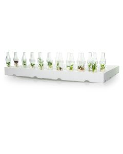 Conical tray - EPS - 12 x 20 (240 positions)