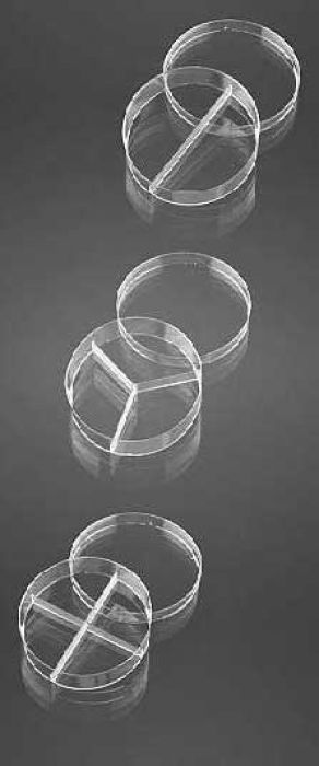 Petri dishes Ø 90 mm with 3 vents - 2 sectors - pack of 20