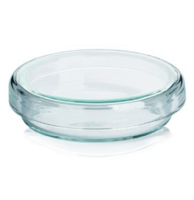 Petri dish