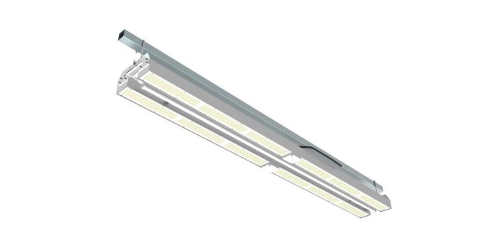 ILM-PG sunlight assimilation lighting - under
