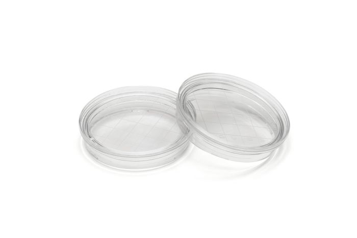 Petri dishes Ø 55 mm - crosslinked  -  sterile