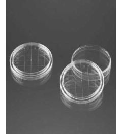 Petri dishes Ø 90 mm - crosslinked  - pack of 20 - sterile