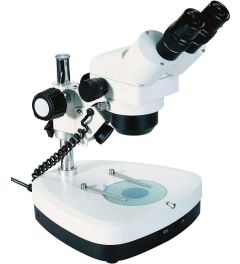 Stereomicroscopes  SQF-L LED - JP Selecta