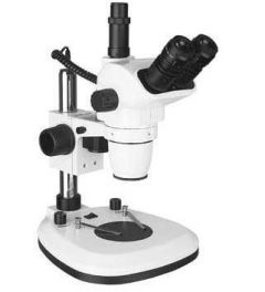 Stereomicroscopes  SQF-D LED - JP Selecta