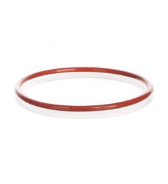 Sealing o Ring Silicone Fep plast. coated Red DN100