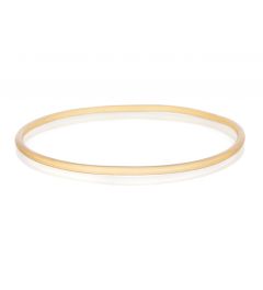 Sealing o Ring Silicone transparent DN100