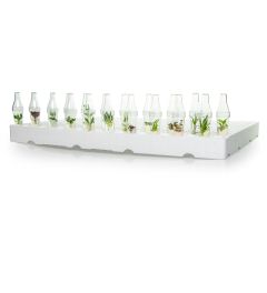 Conical tray - EPS - 12 x 20 (240 positions)